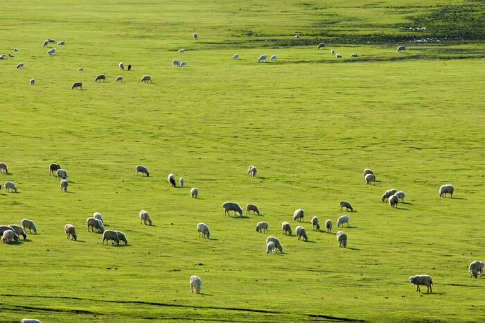 龙8头号玩家(国际)官方网站