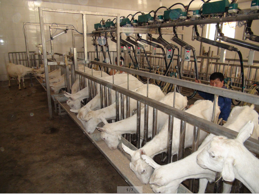 龙8头号玩家(国际)官方网站