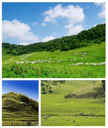 龙8头号玩家(国际)官方网站