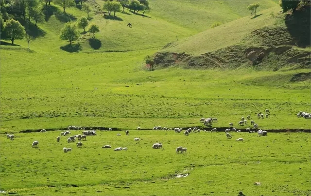 龙8头号玩家(国际)官方网站