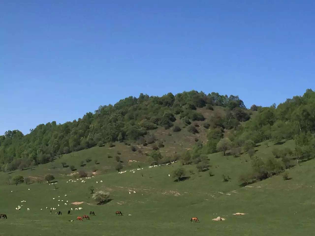 龙8头号玩家(国际)官方网站