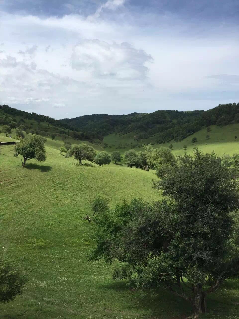 龙8头号玩家(国际)官方网站