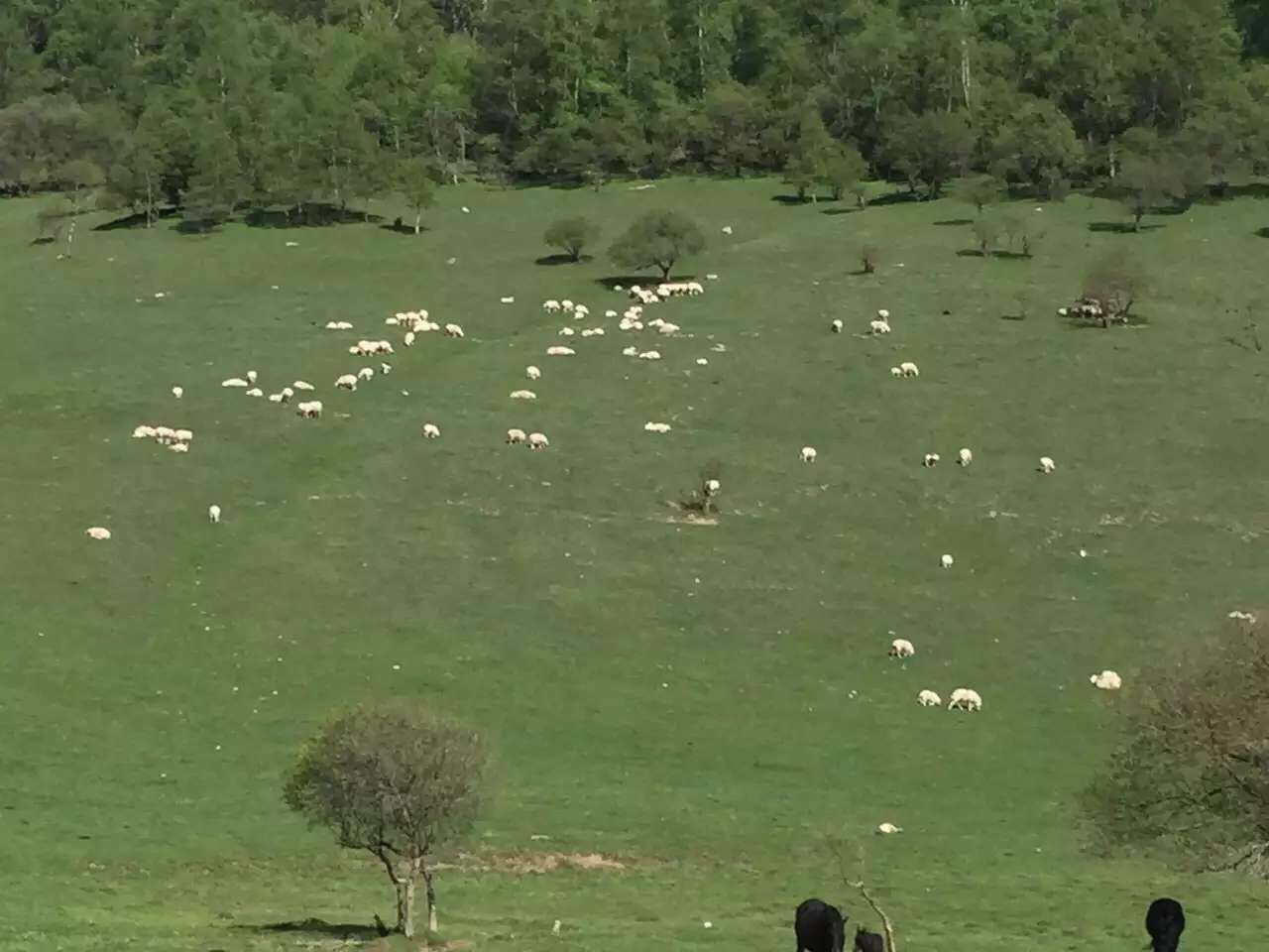 龙8头号玩家(国际)官方网站