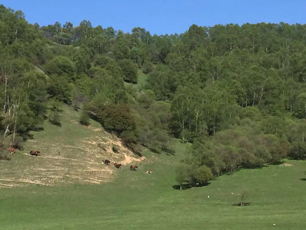 龙8头号玩家(国际)官方网站