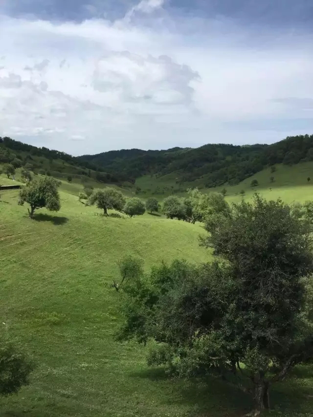 龙8头号玩家(国际)官方网站