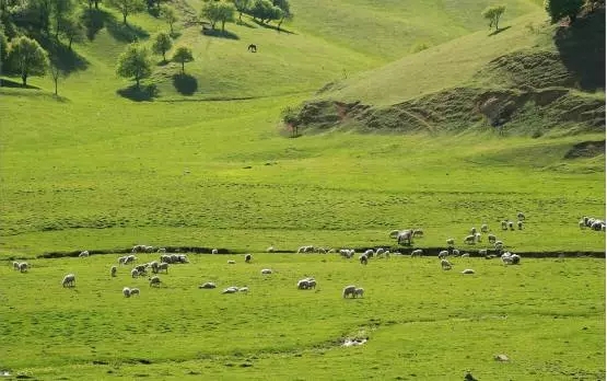 龙8头号玩家(国际)官方网站