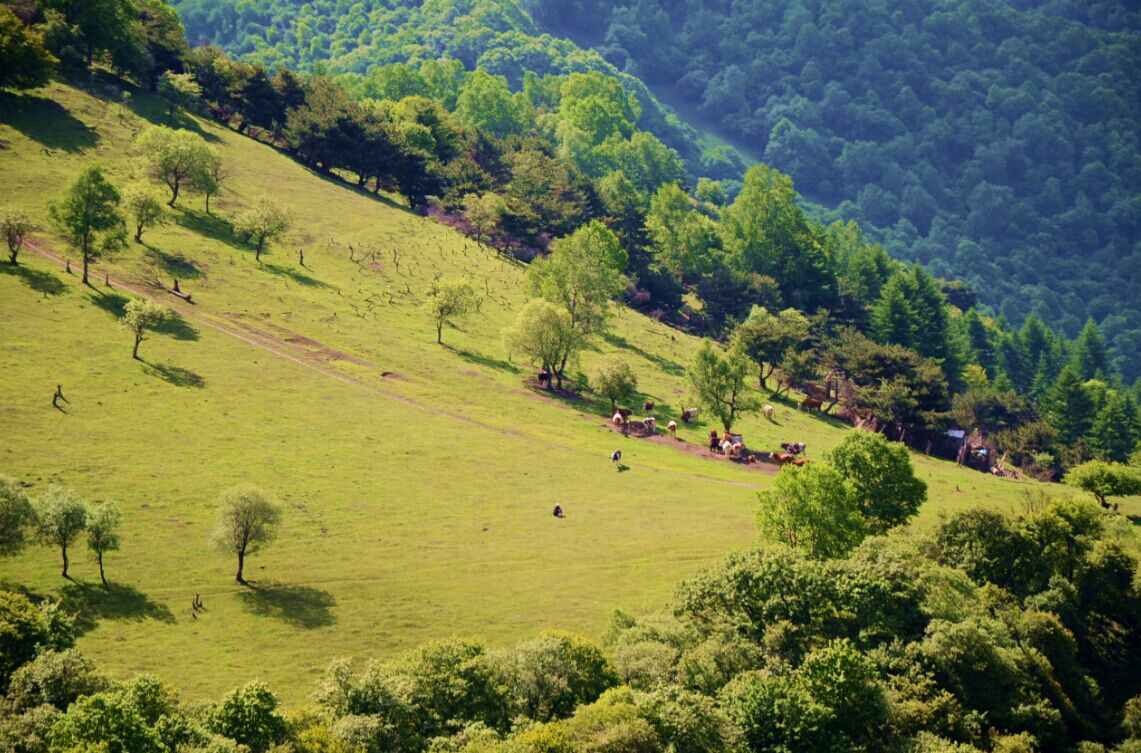 龙8头号玩家(国际)官方网站
