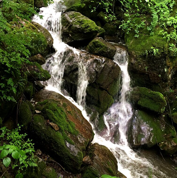 龙8头号玩家(国际)官方网站