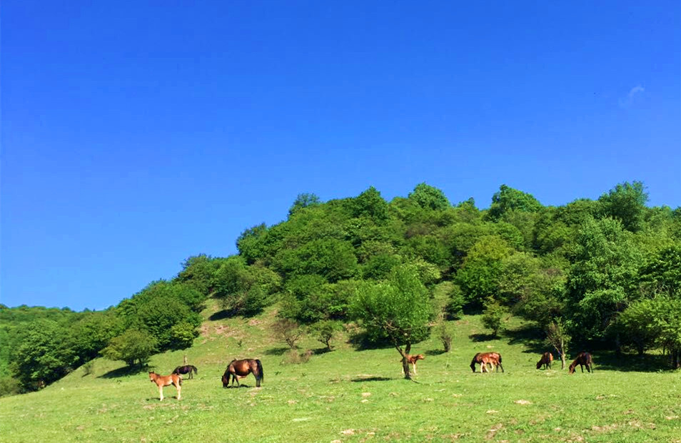 龙8头号玩家(国际)官方网站