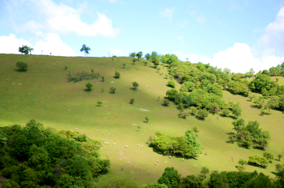 龙8头号玩家(国际)官方网站