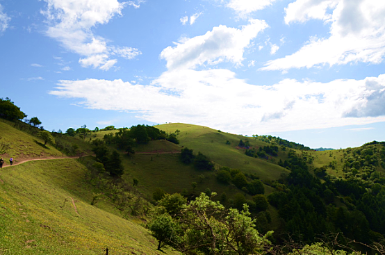 龙8头号玩家(国际)官方网站