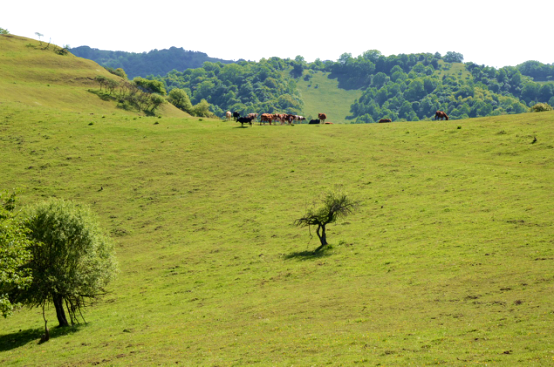 龙8头号玩家(国际)官方网站
