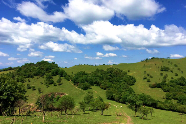 龙8头号玩家(国际)官方网站