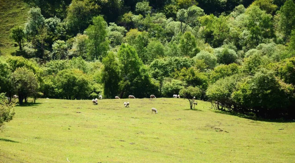 龙8头号玩家(国际)官方网站
