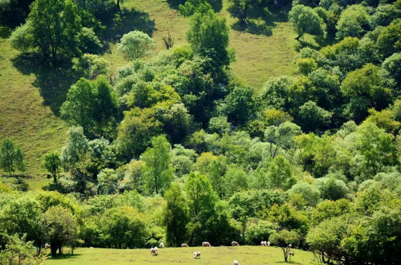 龙8头号玩家(国际)官方网站
