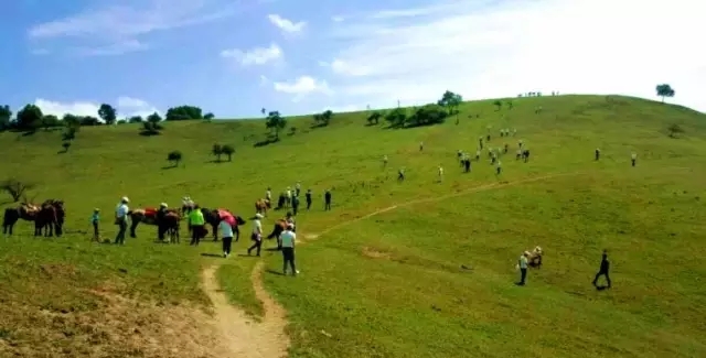 龙8头号玩家(国际)官方网站