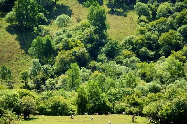 龙8头号玩家(国际)官方网站