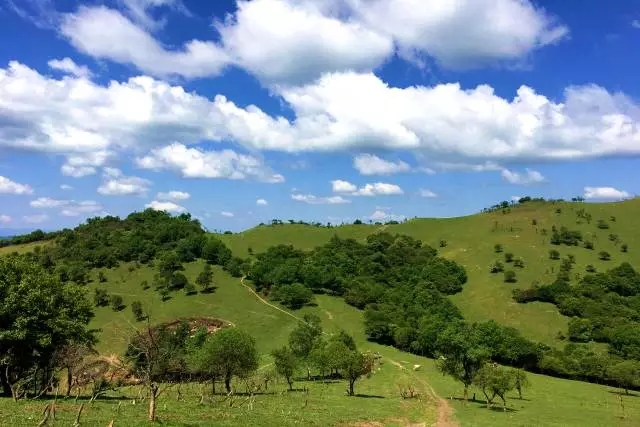 龙8头号玩家(国际)官方网站