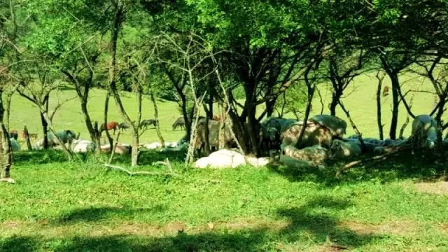 龙8头号玩家(国际)官方网站