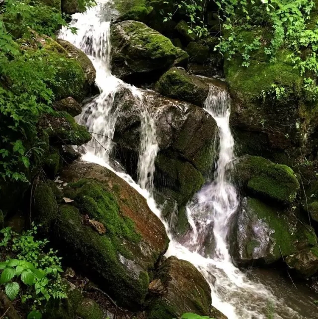 龙8头号玩家(国际)官方网站