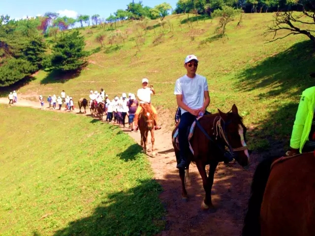 龙8头号玩家(国际)官方网站