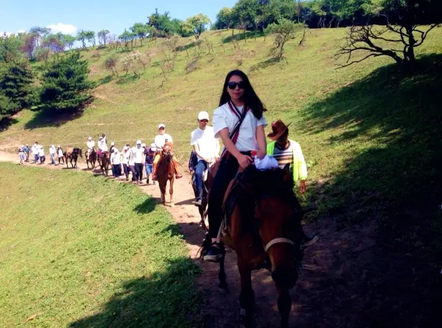 龙8头号玩家(国际)官方网站