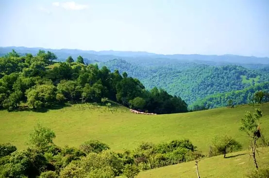 龙8头号玩家(国际)官方网站
