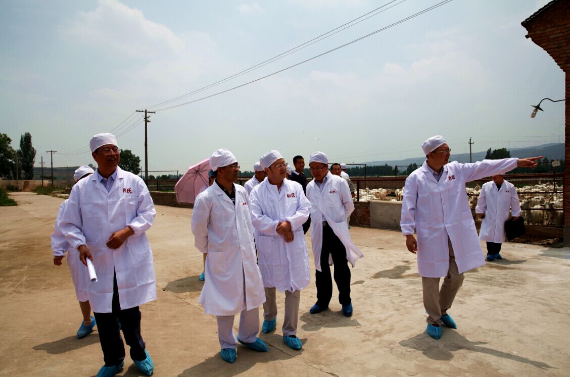 龙8头号玩家(国际)官方网站