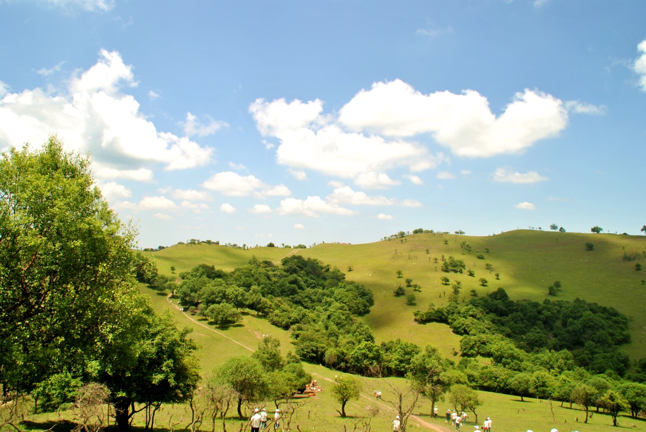 龙8头号玩家(国际)官方网站