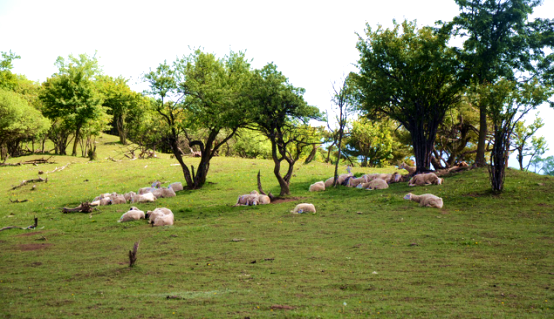 龙8头号玩家(国际)官方网站