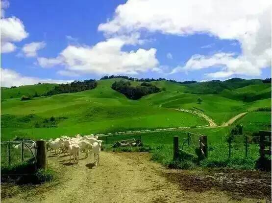 龙8头号玩家(国际)官方网站